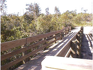 Aqui Esta Nature Trail