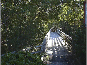 Nature walk at Ponce Park